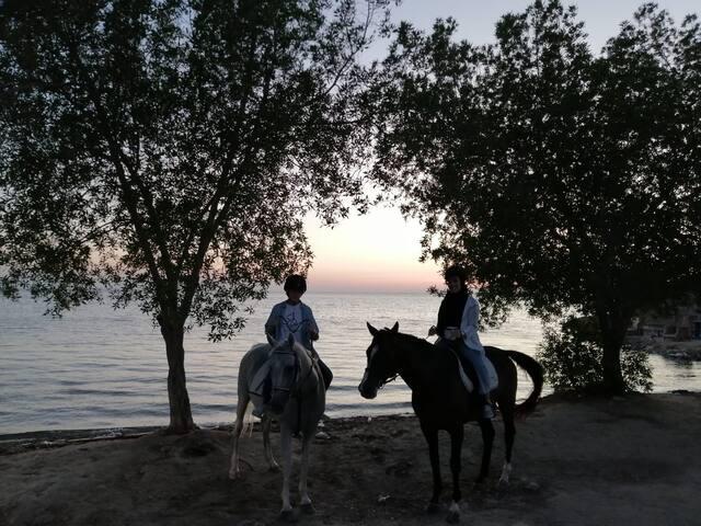 The Ranch Resort - Bahrain - thumb 7
