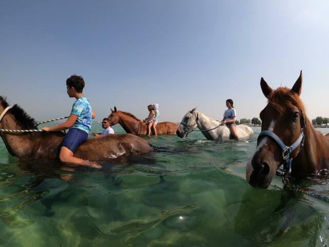 The Ranch Resort - Bahrain - thumb 1
