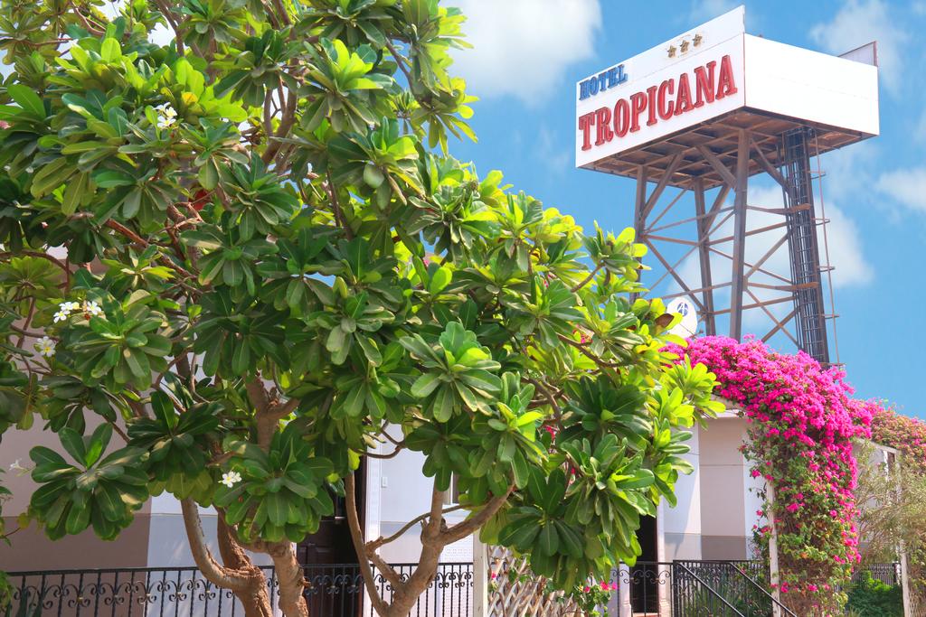 Tropicana Hotel - thumb 6
