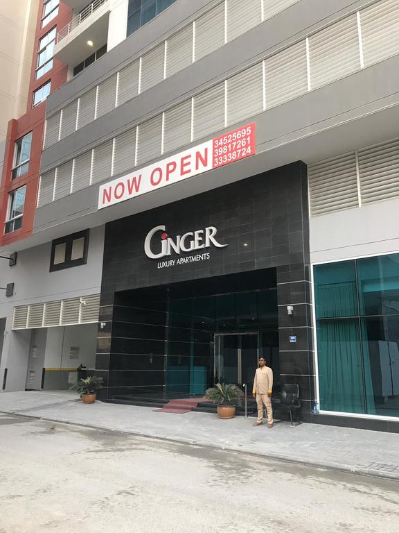 Ginger Luxury Apartments - thumb 3