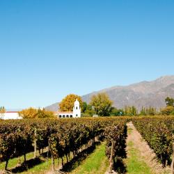 Cafayate Accommodation Bahrain