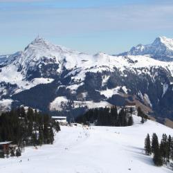 Skicircus Saalbach Hinterglemm Leogang Fieberbrunn Accommodation Bahrain