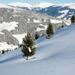 Zillertal Accommodation Bahrain