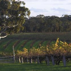 Barossa Valley Accommodation Bahrain