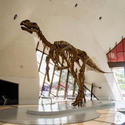 National Museum of Australia, Canberra Accommodation Bahrain