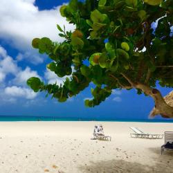 Palm-Eagle Beach Accommodation Bahrain