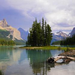 Jasper National Park Accommodation Bahrain