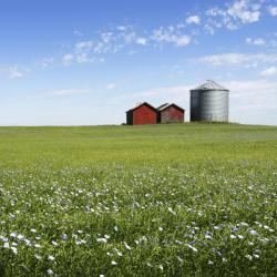 Manitoba Accommodation Bahrain
