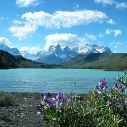 Torres del Paine Accommodation Bahrain