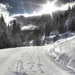 Feldberg Accommodation Bahrain