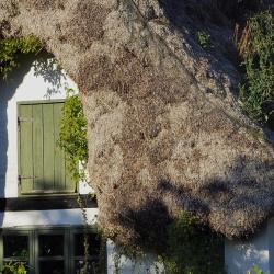 Læsø Accommodation Bahrain