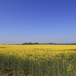 Sjælland og Øerne Accommodation Bahrain