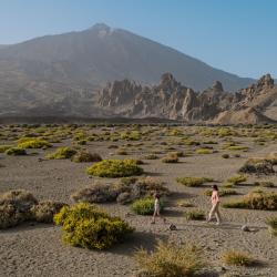 Canary Islands Accommodation Bahrain