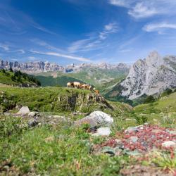 Pyrénées Accommodation Bahrain