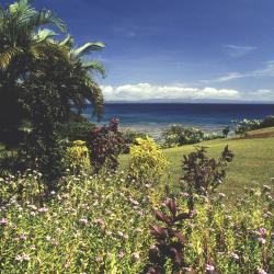 Taveuni Accommodation Bahrain