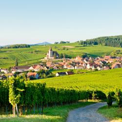 Alsace Accommodation Bahrain