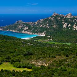 Corsica Accommodation Bahrain