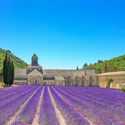 Provence Accommodation Bahrain