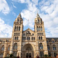 Natural History Museum, London Accommodation Bahrain