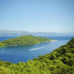 Mljet Island Accommodation Bahrain