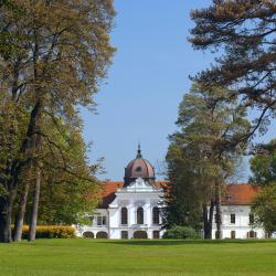 Pest Accommodation Bahrain