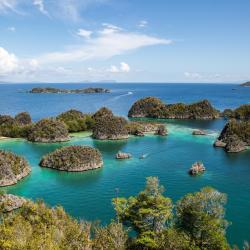 Raja Ampat Accommodation Bahrain