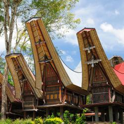 Sulawesi Accommodation Bahrain