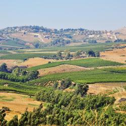 Golan Heights Accommodation Bahrain