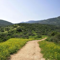 Upper Galilee Accommodation Bahrain