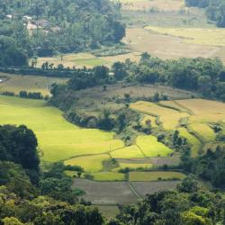 Coorg Accommodation Bahrain
