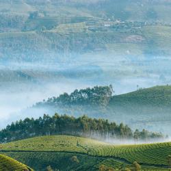 Munnar and Surroundings Accommodation Bahrain