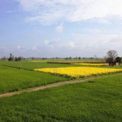 Punjab Accommodation Bahrain