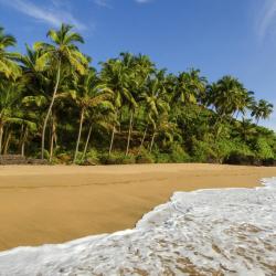 South Goa Accommodation Bahrain