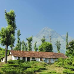 Wayanad Accommodation Bahrain