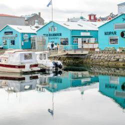 Reykjavik Old Harbour, Reykjavík Accommodation Bahrain
