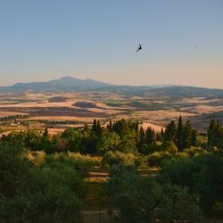 Tuscany Accommodation Bahrain