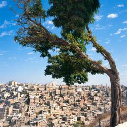 Amman Accommodation Bahrain