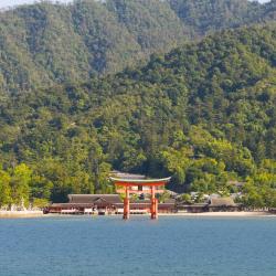 Aichi Accommodation Bahrain