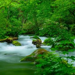 Aomori Accommodation Bahrain