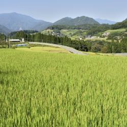 Miyazaki Accommodation Bahrain