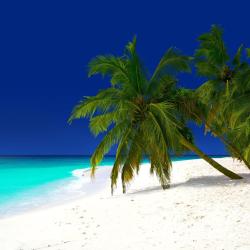 Baa Atoll Accommodation Bahrain
