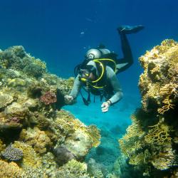Dhigurah Accommodation Bahrain