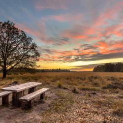 Drenthe Accommodation Bahrain