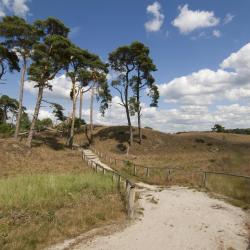 Gelderland Accommodation Bahrain