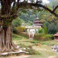Bandipur Accommodation Bahrain