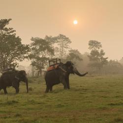 Chitwan Accommodation Bahrain