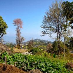 Dhulikhel Accommodation Bahrain