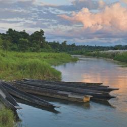 Sauraha Accommodation Bahrain