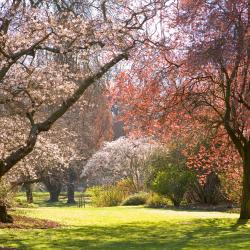Christchurch Accommodation Bahrain