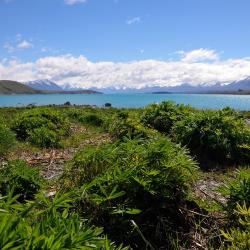 Lake Tekapo Accommodation Bahrain